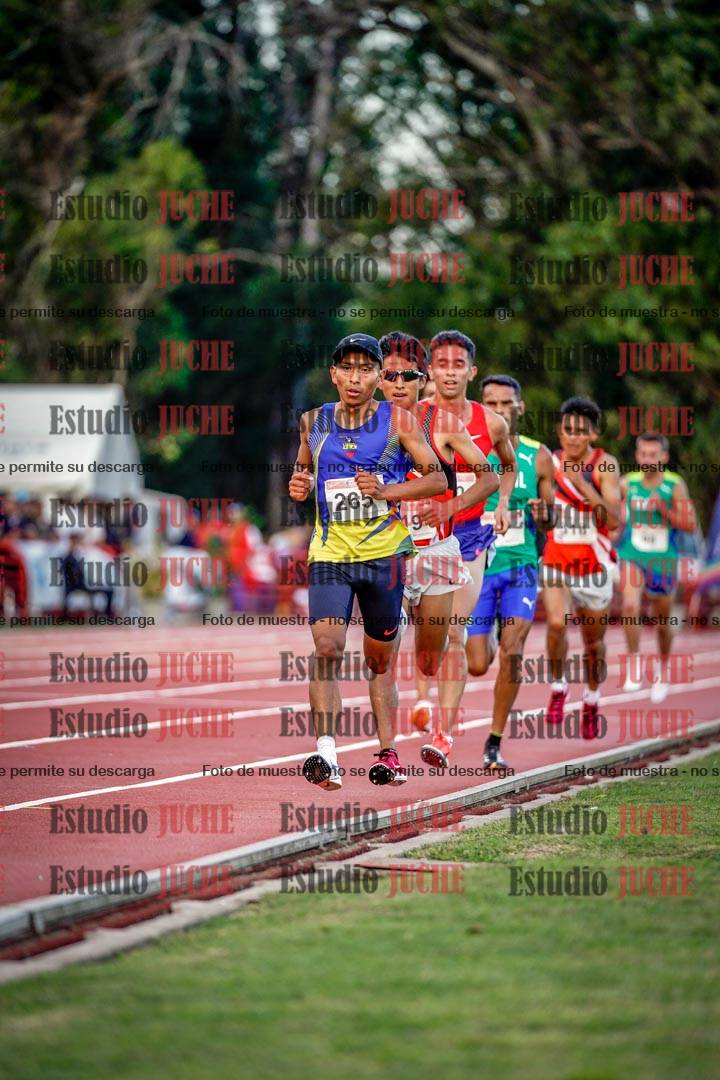 Fotos de los 10.000 m llanos de varones