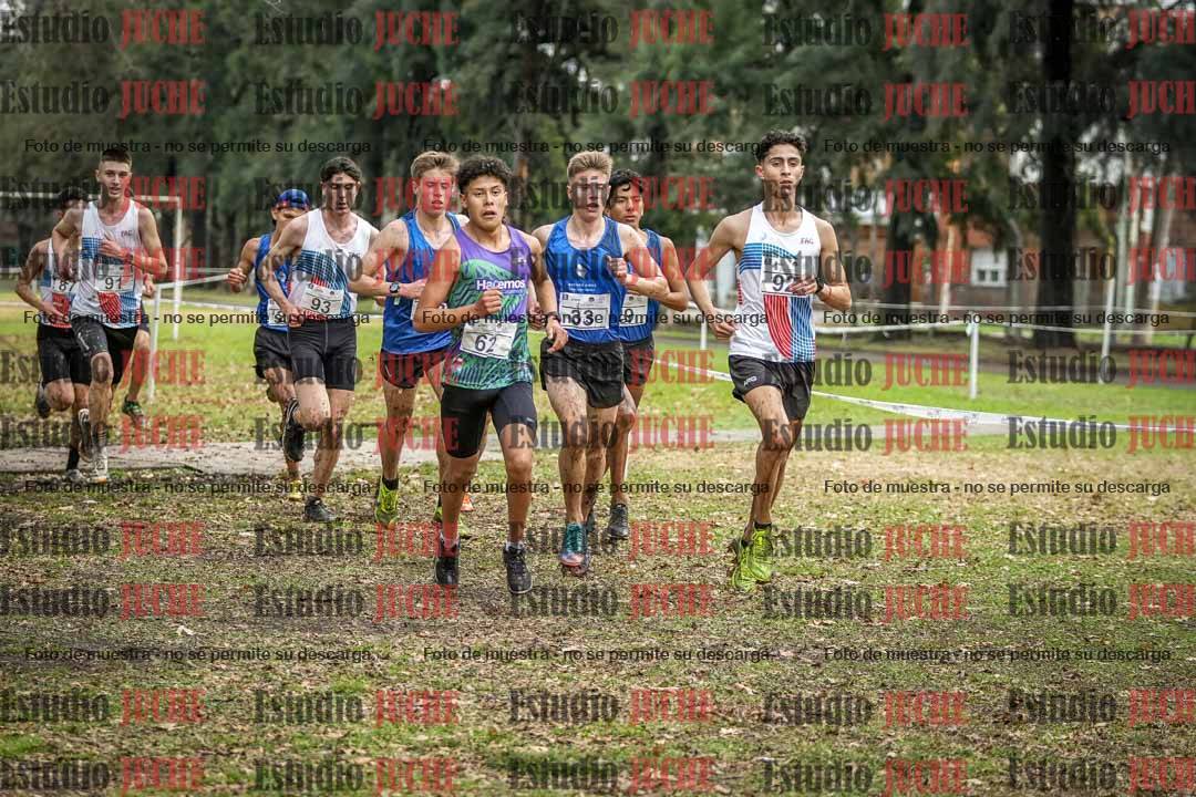 Fotos en el circuito