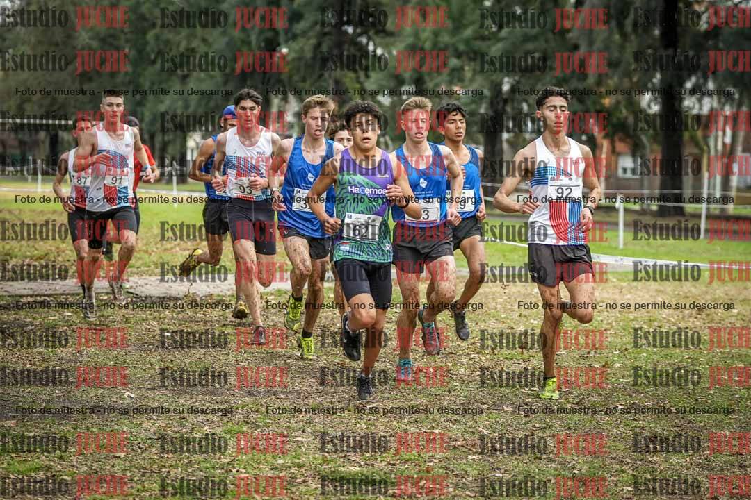 Fotos en el circuito