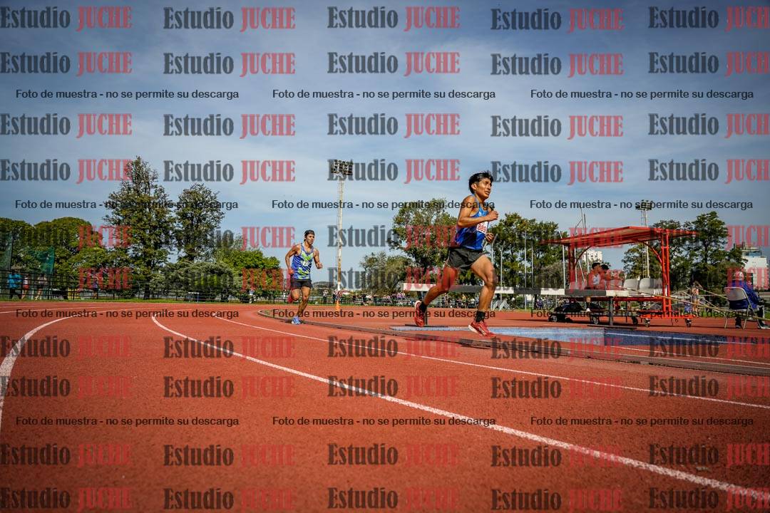 Fotos de los 3000 m llanos de varones