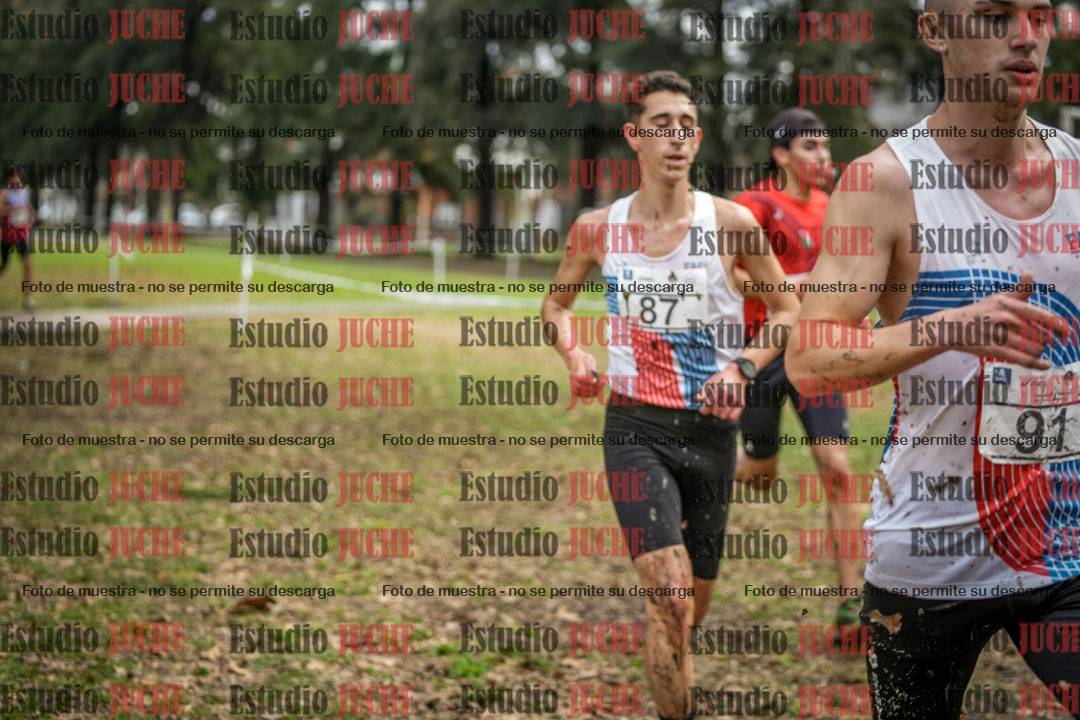 Fotos en el circuito