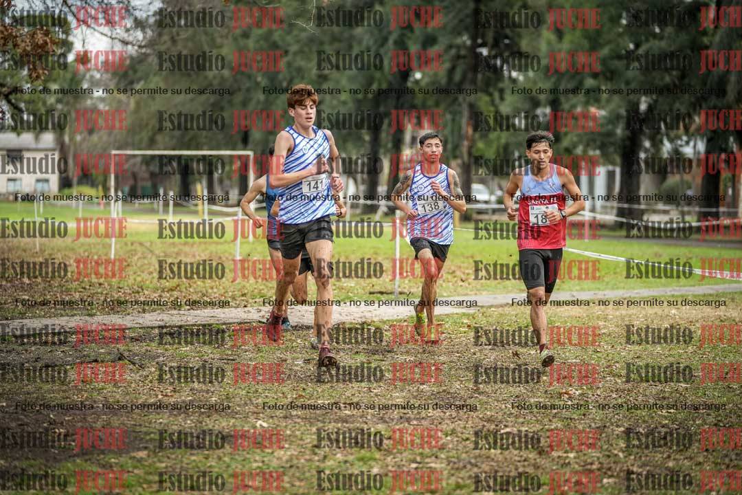 Fotos en el circuito