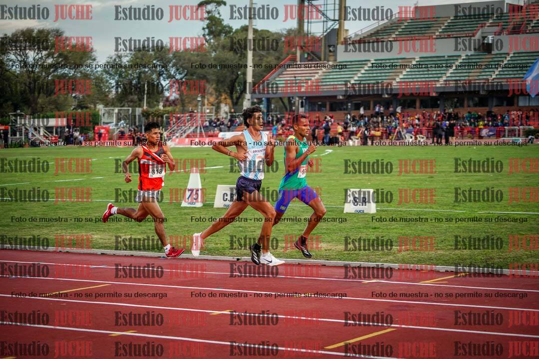 Fotos de los 10.000 m llanos de varones