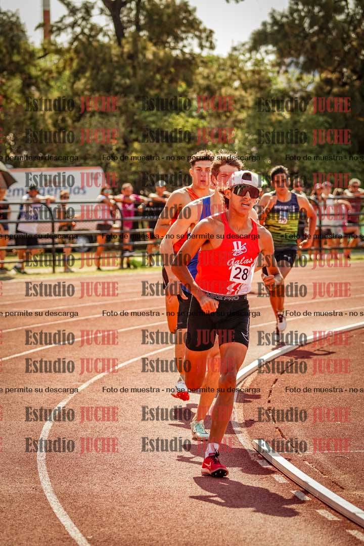 Fotos de los 800 m llanos de varones