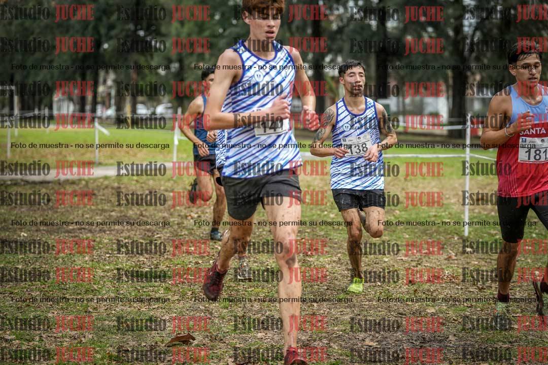 Fotos en el circuito