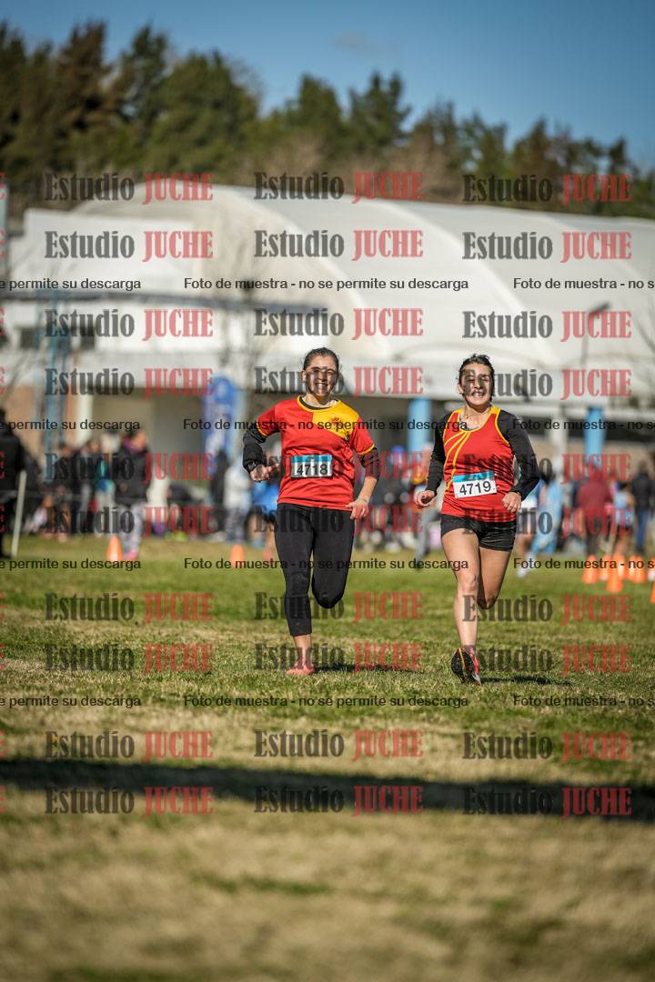 Fotos de las llegadas