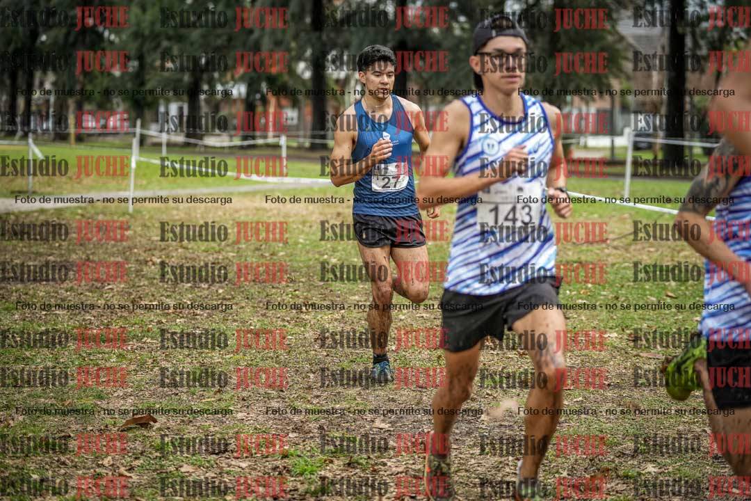 Fotos en el circuito