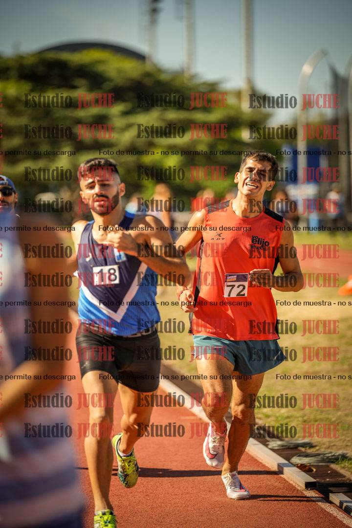 Fotos de los 800 m llanos de varones
