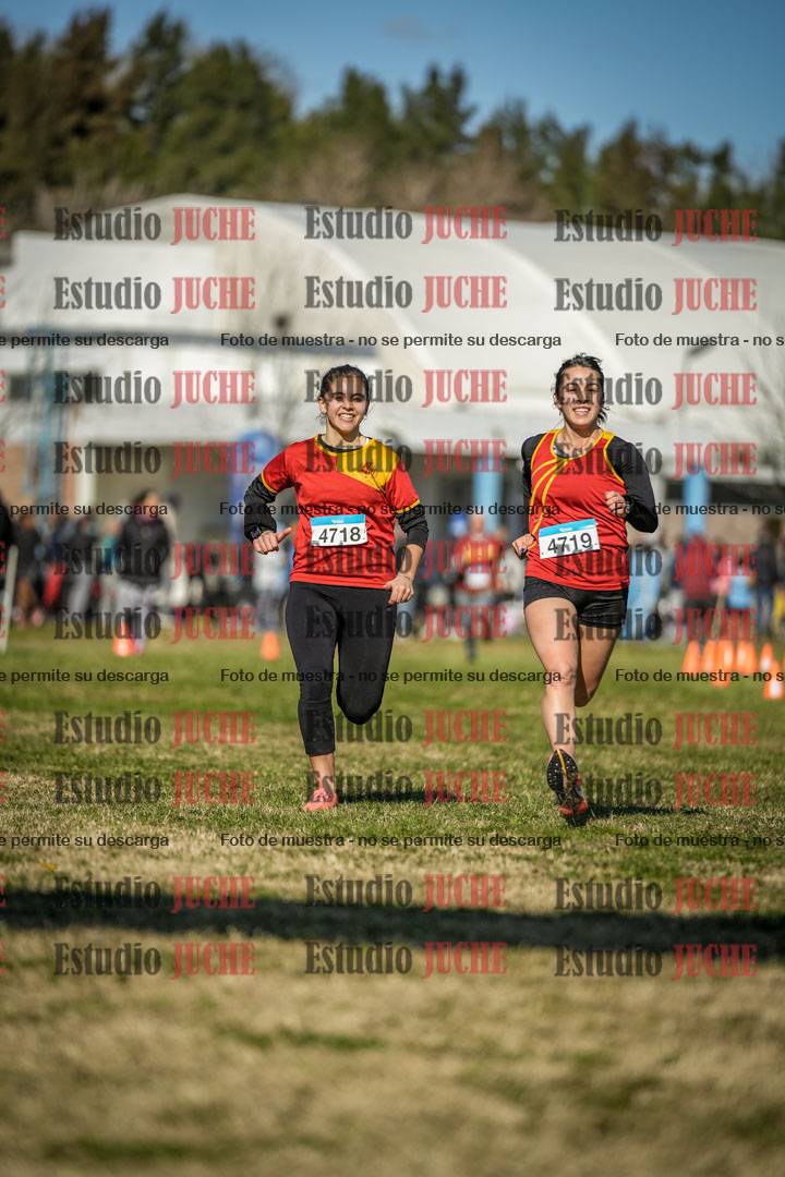 Fotos de las llegadas
