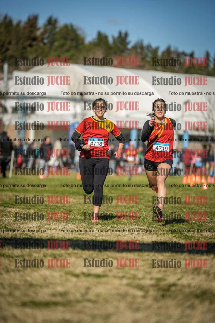 Fotos de las llegadas