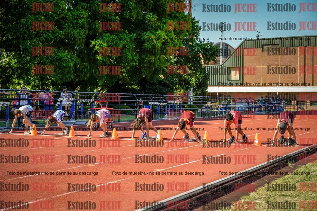 Fotos de los 50 m llanos de varones