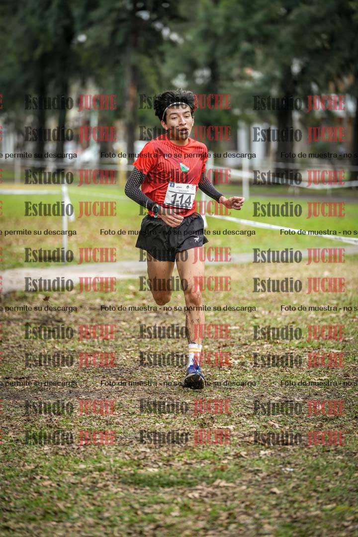 Fotos en el circuito