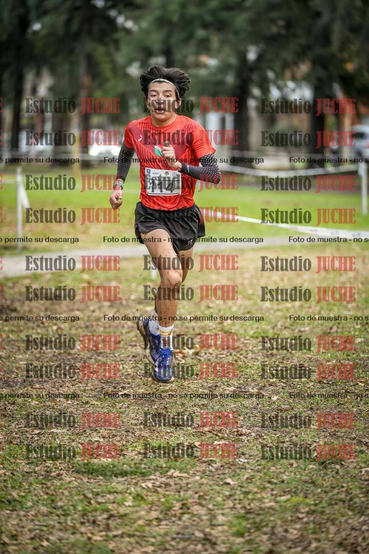 Fotos en el circuito