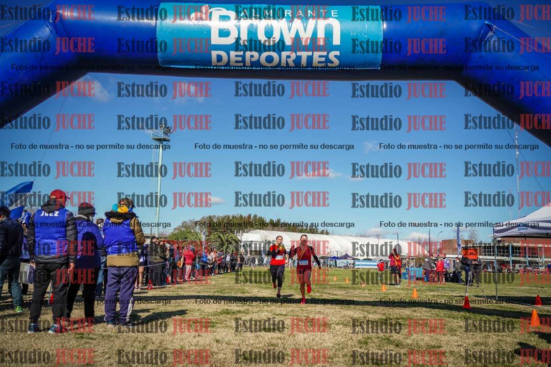 Fotos de las llegadas