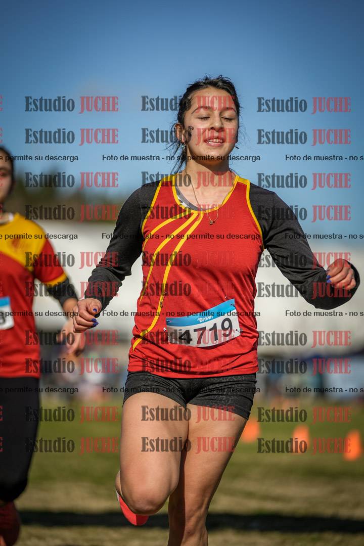 Fotos de las llegadas