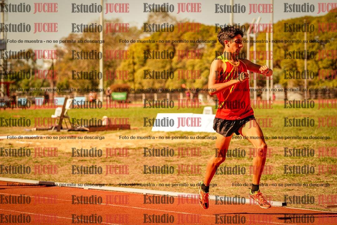 Fotos de los 800 m llanos de varones