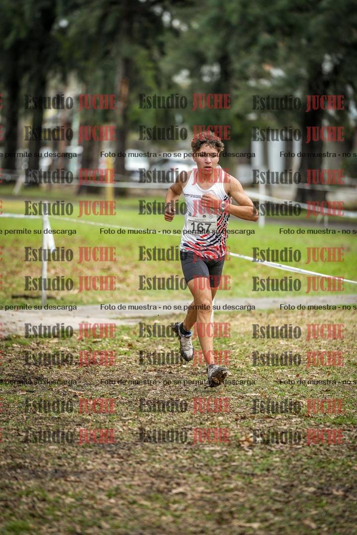 Fotos en el circuito