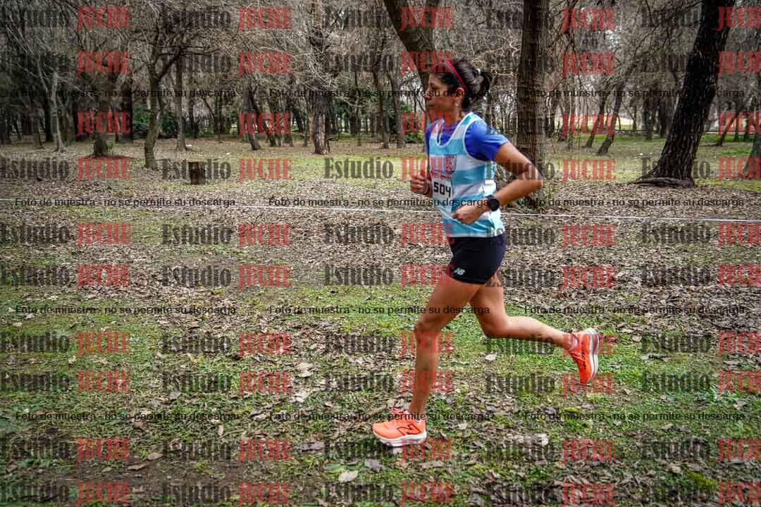 Fotos en el circuito