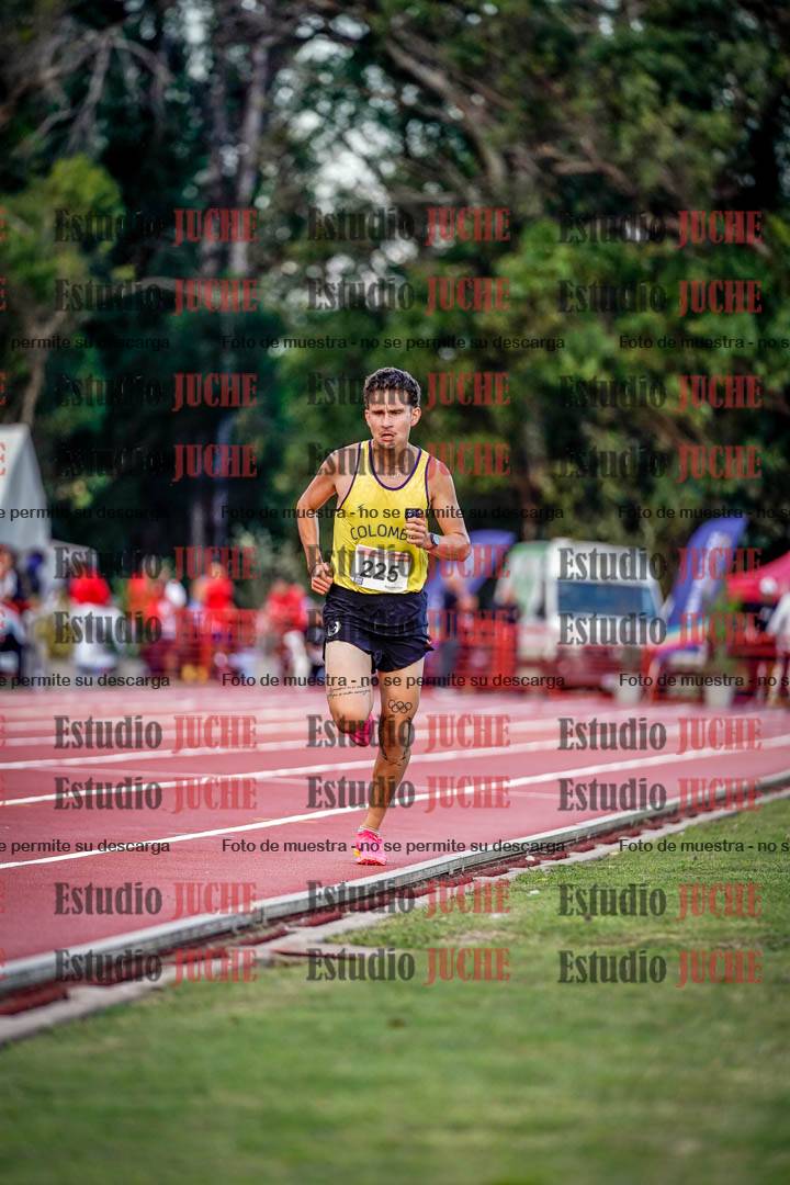 Fotos de los 10.000 m llanos de varones