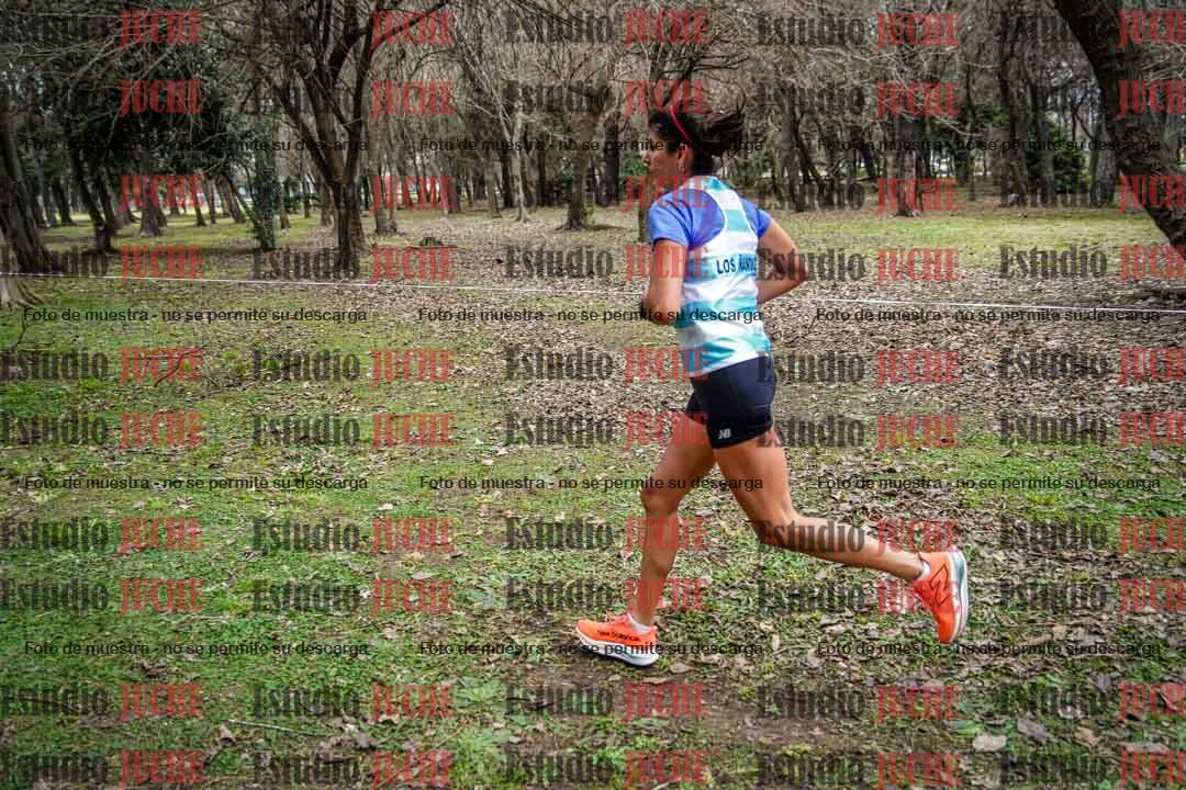 Fotos en el circuito