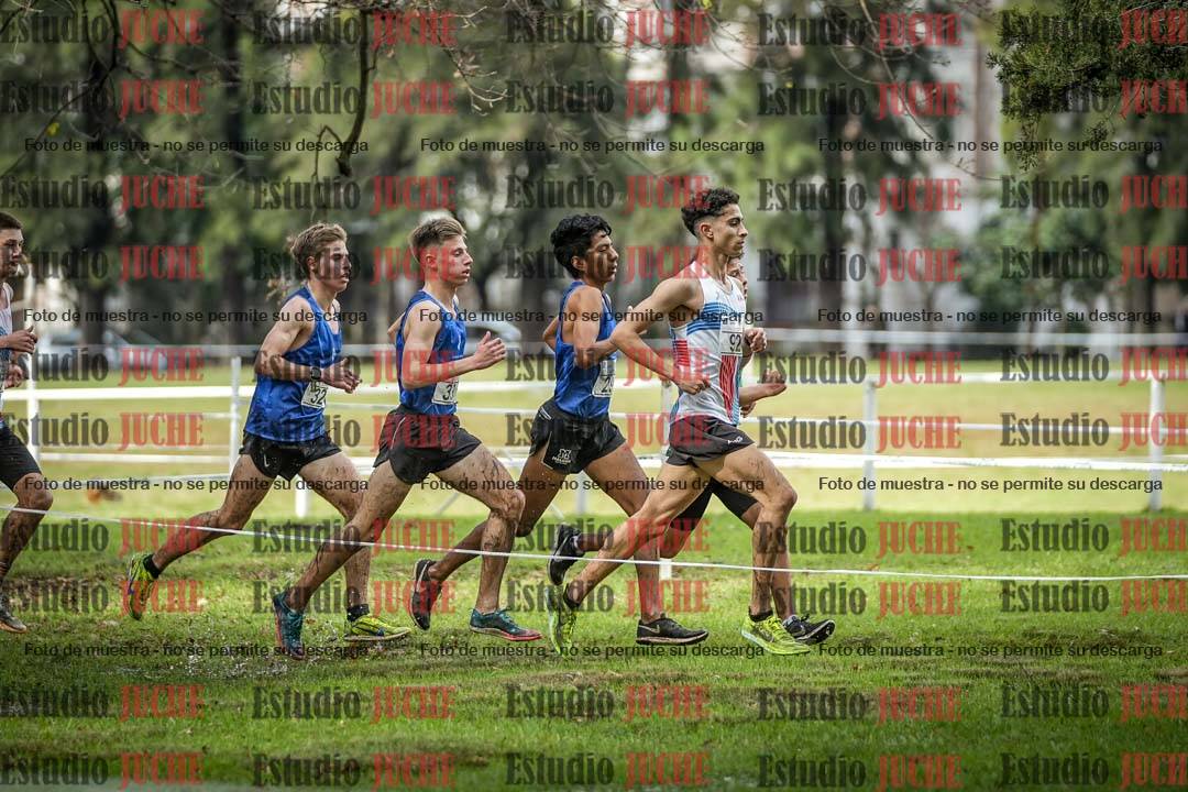 Fotos en el circuito