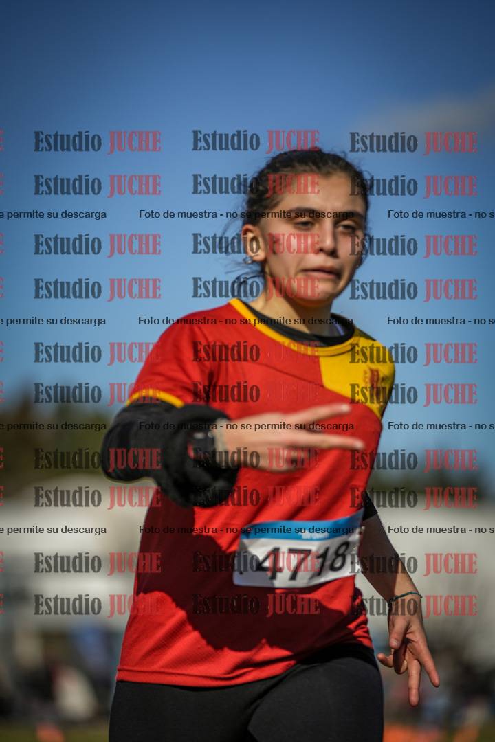 Fotos de las llegadas