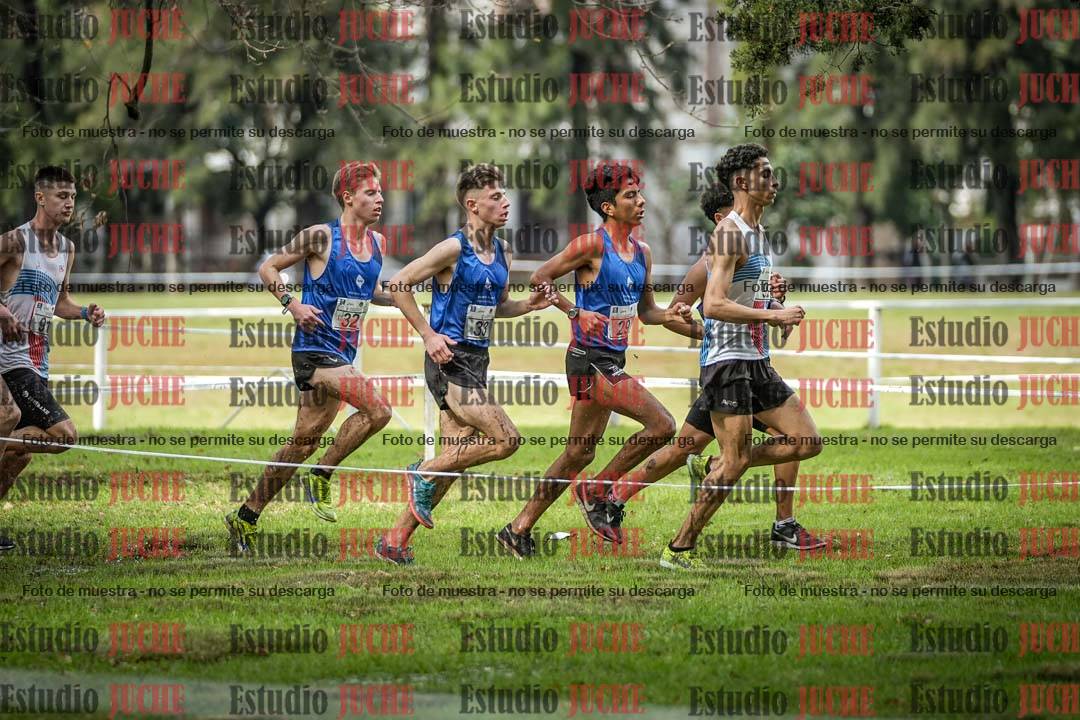 Fotos en el circuito