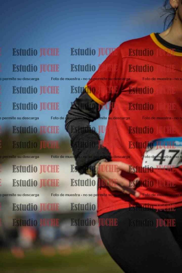 Fotos de las llegadas