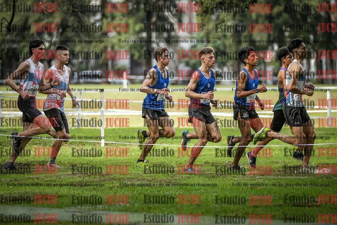 Fotos en el circuito