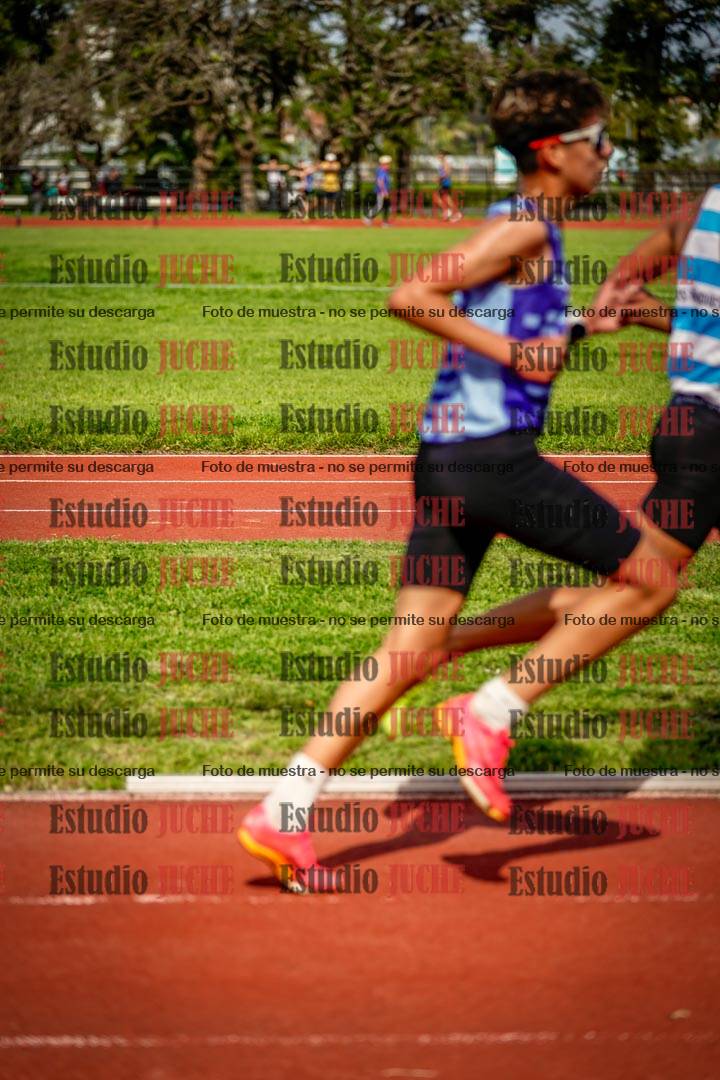Fotos de los 3000 m llanos de varones