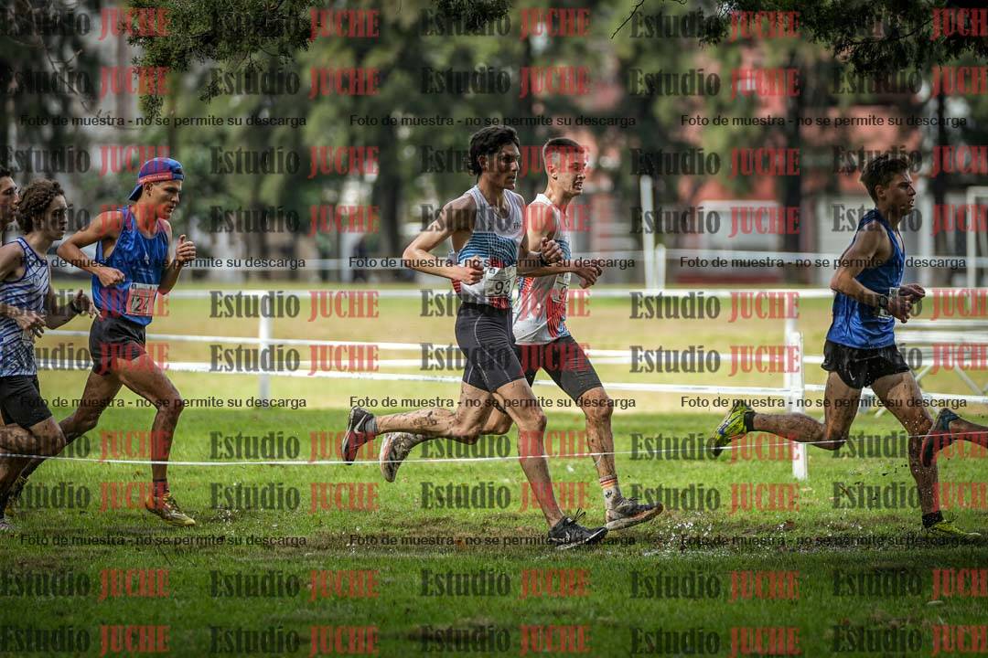 Fotos en el circuito