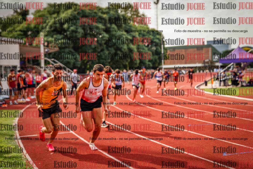Fotos de los 800 m de varones