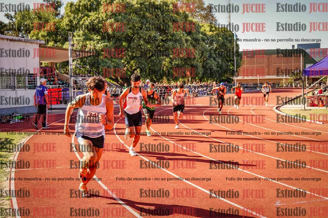 Fotos de los 800 m llanos de varones
