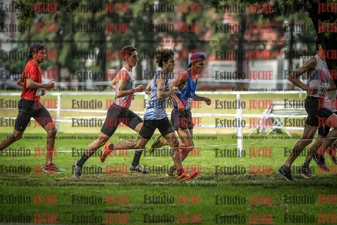 Fotos en el circuito