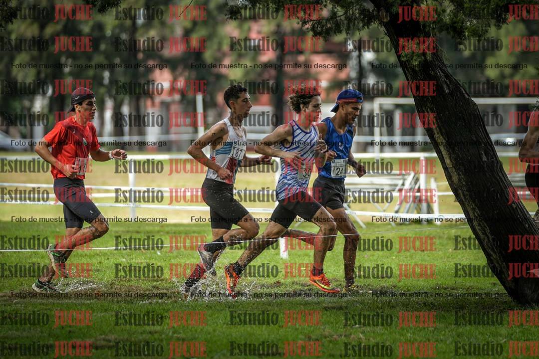 Fotos en el circuito