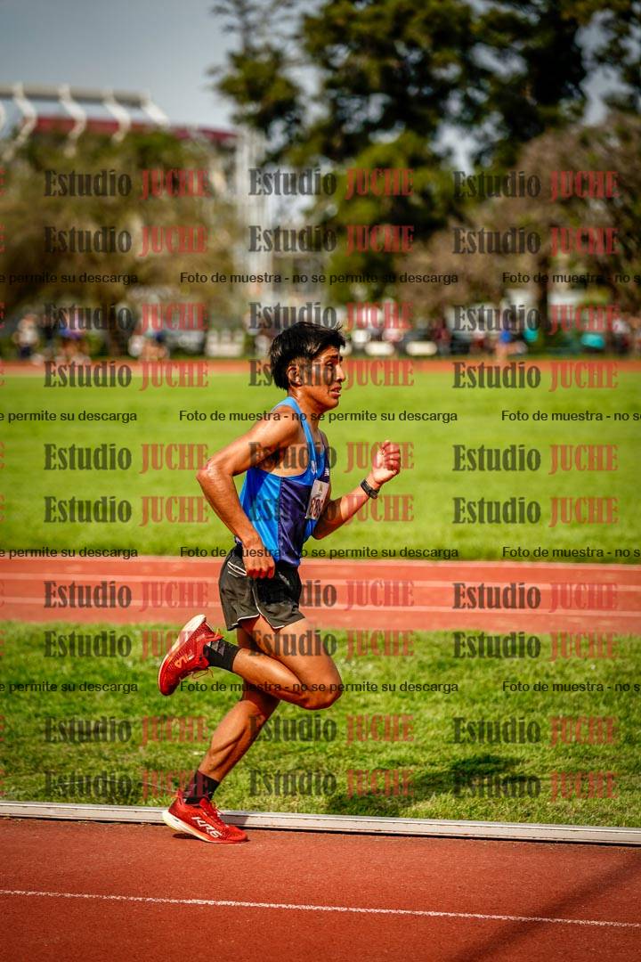 Fotos de los 3000 m llanos de varones