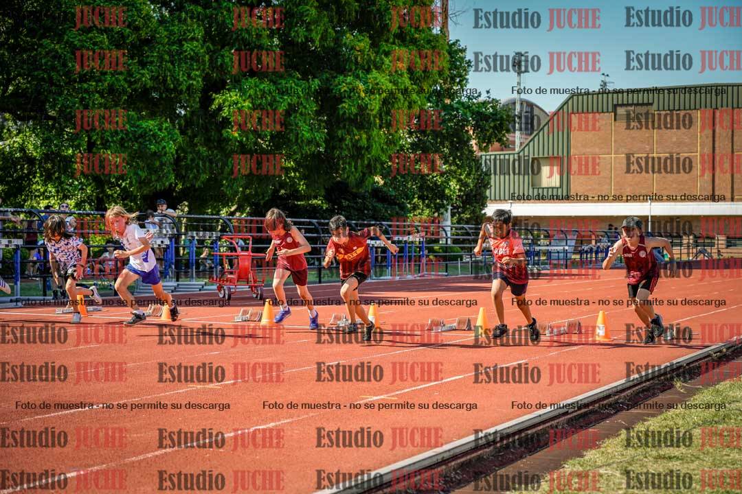 Fotos de los 50 m llanos de varones