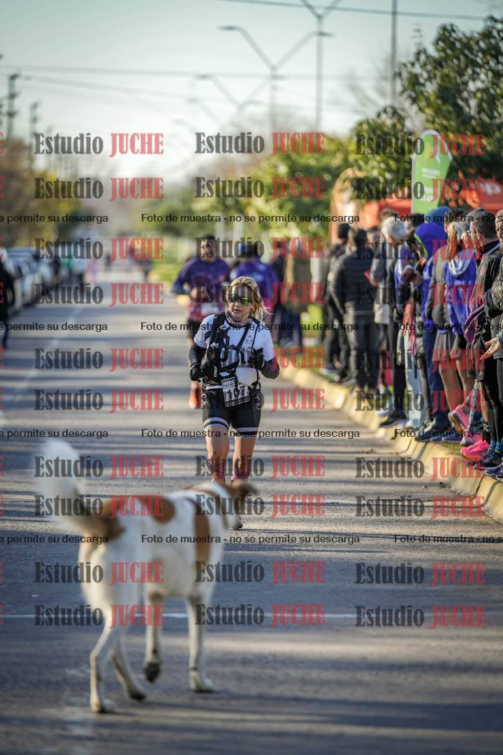 Fotos de las llegadas