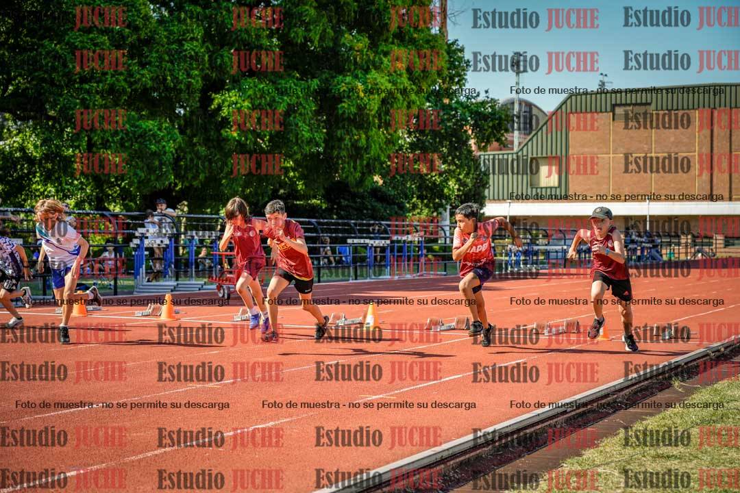 Fotos de los 50 m llanos de varones