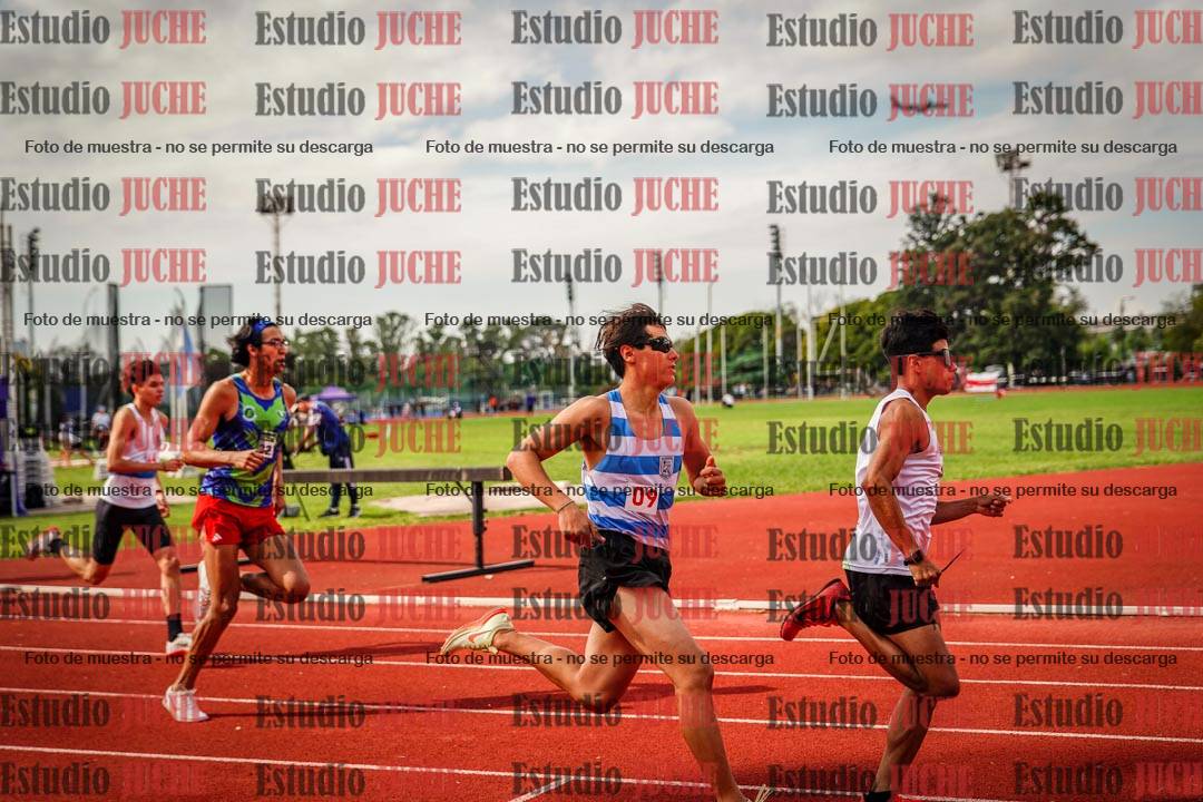Fotos de los 800 m de varones