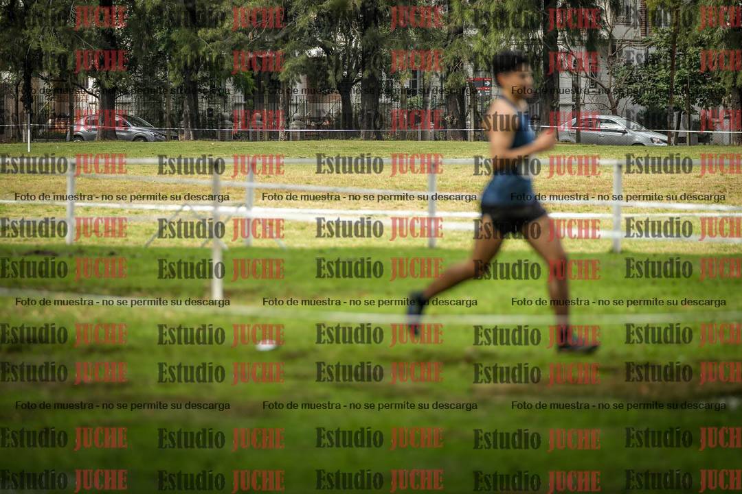 Fotos en el circuito