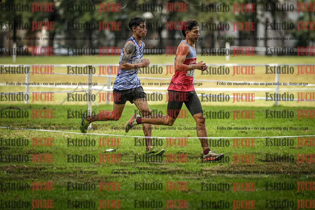 Fotos en el circuito