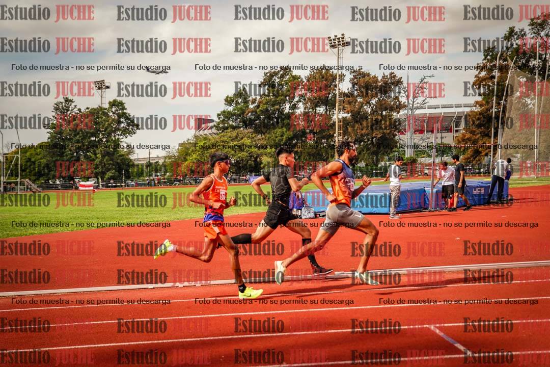 Fotos de los 800 m de varones