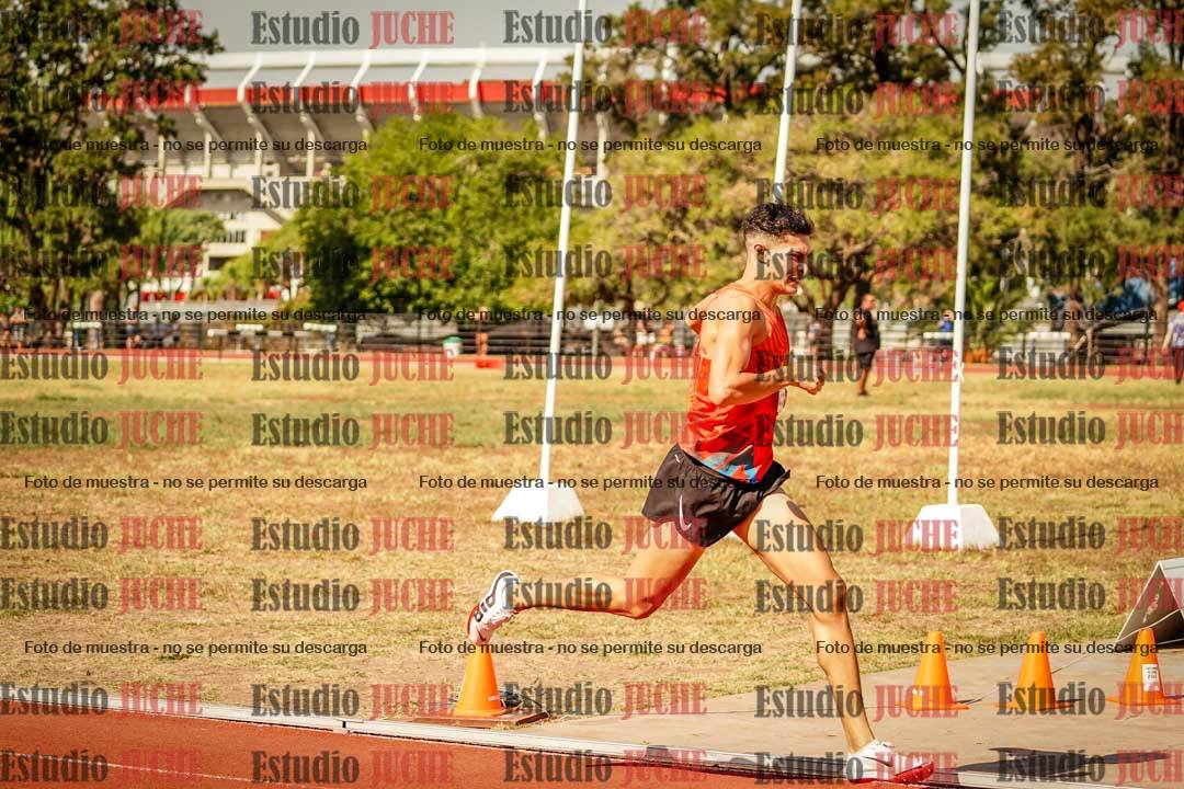 Fotos de los 800 m llanos de varones