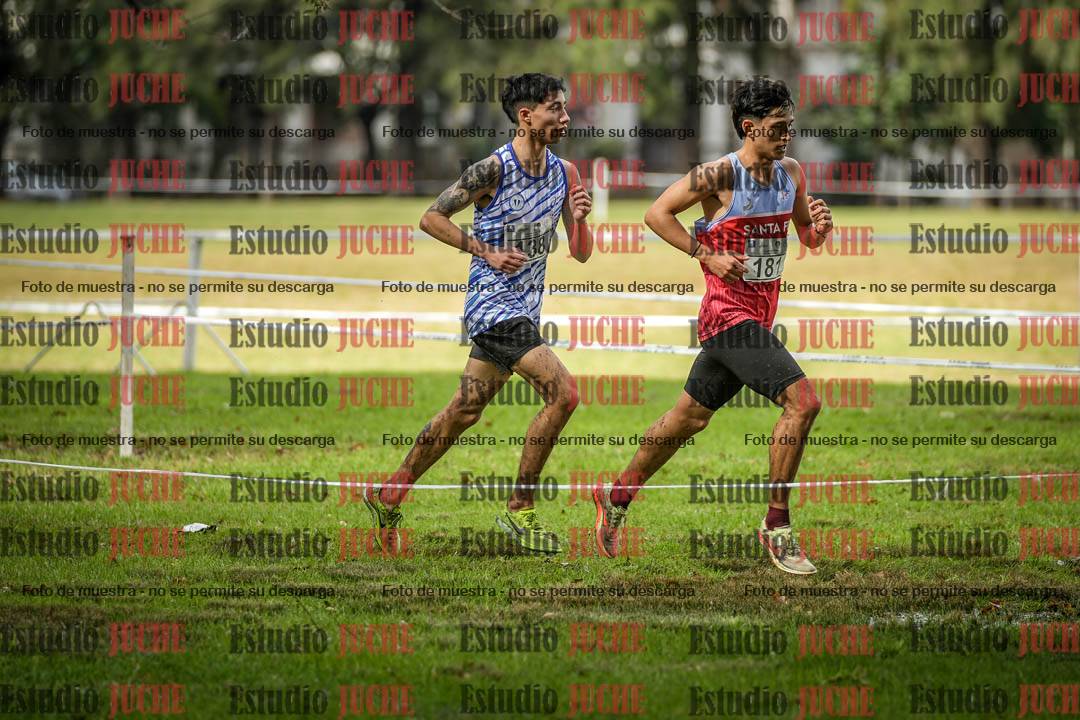 Fotos en el circuito