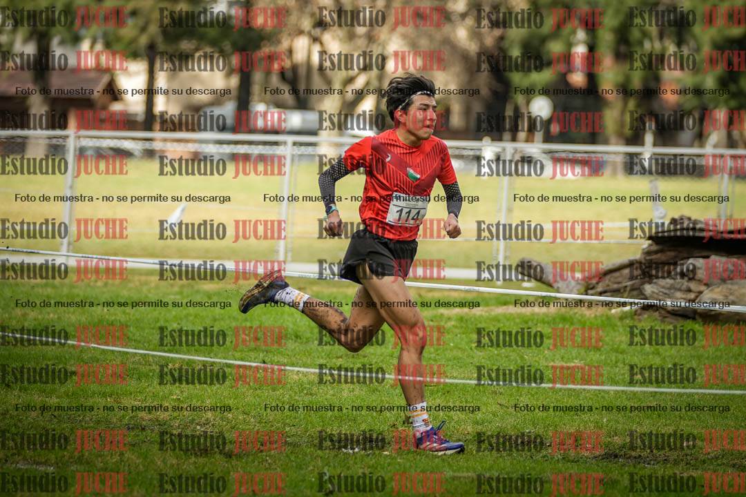 Fotos en el circuito