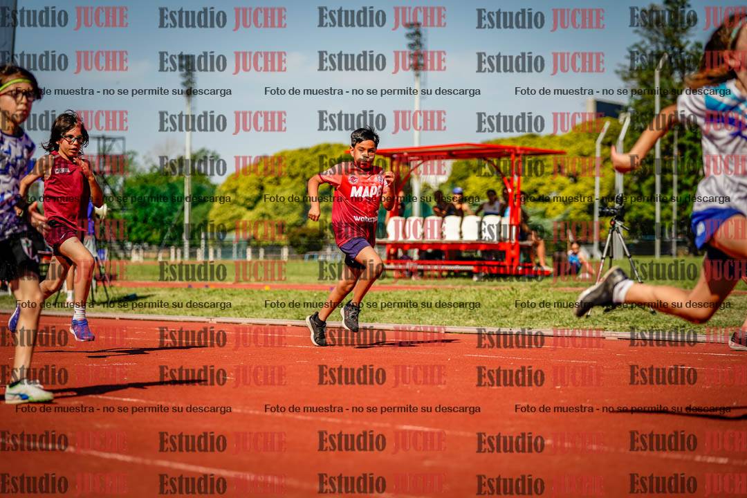 Fotos de los 50 m llanos de varones