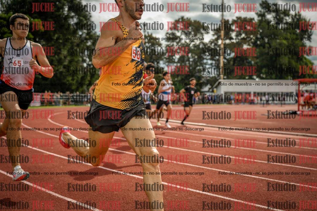 Fotos de los 800 m de varones