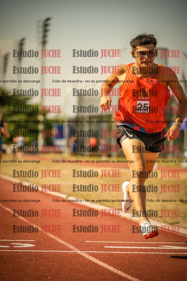 Fotos de los 800 m llanos de varones
