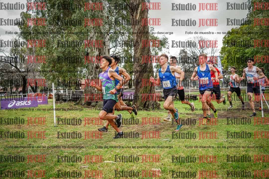 Fotos en el circuito